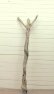 画像3: 変形幹枝流木 (3)