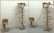 画像3: オリジナル大型流木バードジムツインタワースタンド（縄はしご付き）