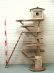 画像2: オリジナル大型流木アート キャットタワー（駆上りハシゴ付きツリーハウスタイプ）