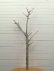 画像4: 大型幹枝流木 (4)