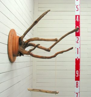 画像2: 止まり木壁掛けハンガー