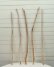 画像4: 小枝細枝流木の５本セット (4)