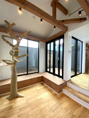 画像4: 東京都 T 様邸の大型流木木登りキャットタワーの設置状況