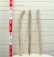 画像2: 流木棒50cm以上1ｍ未満の３本セット (2)