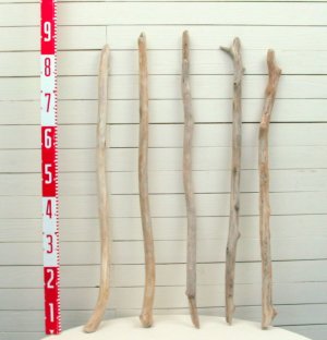 画像2: 流木棒50cm以上1ｍ未満の5本セット