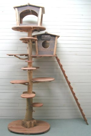画像1: オリジナル大型流木キャットタワー