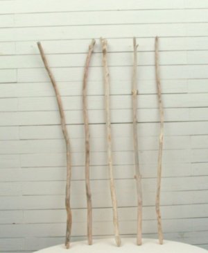 画像4: 小枝細枝流木の５本セット
