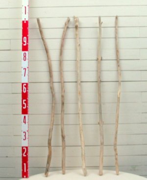 画像2: 小枝細枝流木の５本セット