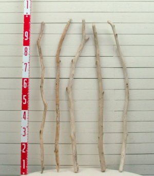 画像2: 流木棒１ｍ以上の５本セット