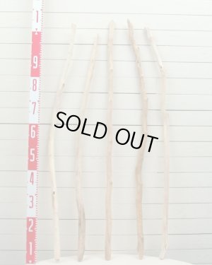 画像2: 流木棒１ｍ以上の５本セット