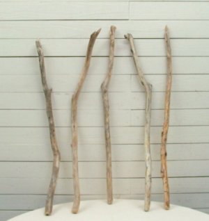 画像4: 流木棒50cm以上1ｍ未満の5本セット
