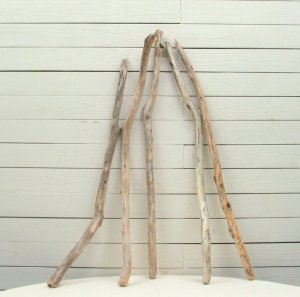 画像3: 流木棒50cm以上1ｍ未満の5本セット