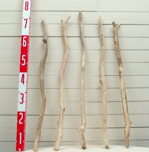 画像2: 流木棒50cm以上1ｍ未満の5本セット