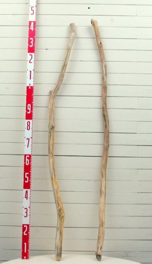 画像2: 流木棒１ｍ以上の２本セット