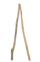 流木棒１ｍ以上の２本セット