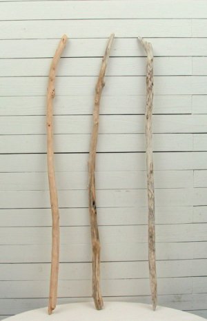 画像4: 流木棒１ｍ以上の３本セット