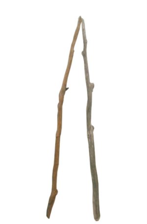 画像1: 流木棒１ｍ以上の２本セット