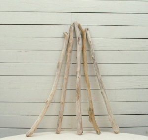 画像3: 流木棒50cm以上1ｍ未満の5本セット