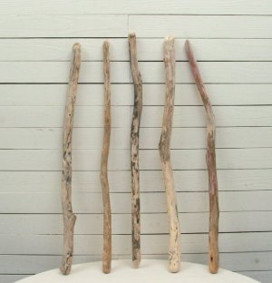 画像4: 流木棒50cm以上1ｍ未満の5本セット