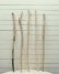 画像4: 流木棒50cm以上1ｍ未満の5本セット (4)