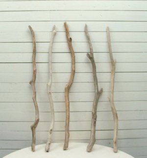画像4: 大枝太枝流木５本セット