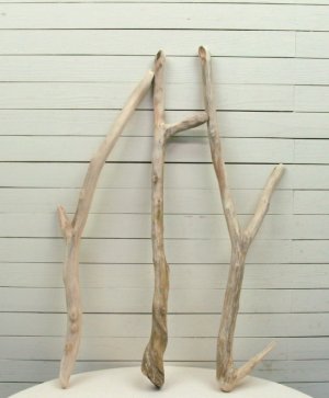 画像3: 大枝太枝流木３本セット
