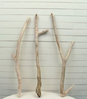 画像4: 大枝太枝流木３本セット