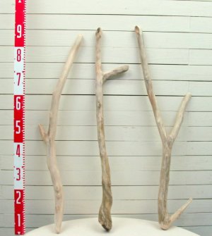 画像2: 大枝太枝流木３本セット