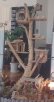 画像2: 埼玉県の美容室 L 様にご用命頂いた、大型流木ツリーハウスオブジェの設置状況です。 (2)