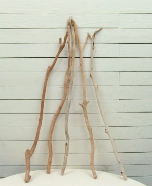 画像3: 小枝細枝流木の５本セット