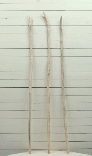 画像4: 小枝細枝流木の３本セット