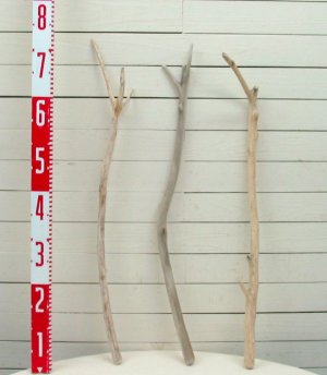画像2: 小枝細枝流木の３本セット