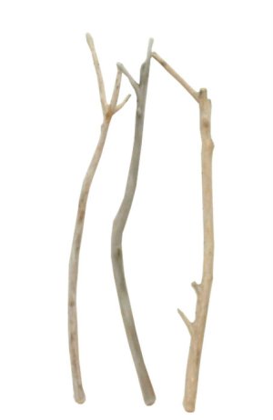 画像1: 小枝細枝流木の３本セット