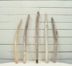 画像4: 流木棒50ｃｍ未満の5本セット