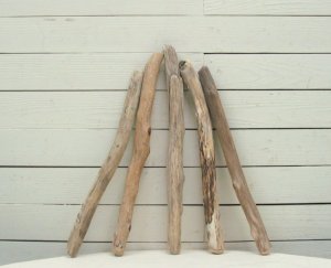 画像3: 流木棒50ｃｍ未満の5本セット