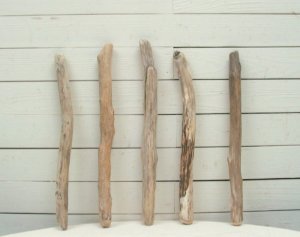 画像4: 流木棒50ｃｍ未満の5本セット