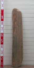 画像5: 大型板流木