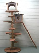 画像: オリジナル大型流木キャットタワー