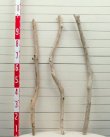 画像2: 流木棒１ｍ以上の３本セット