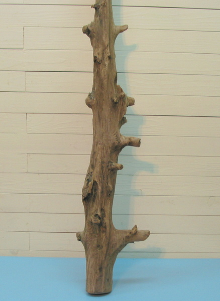 画像: 大型幹流木