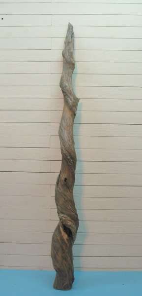 画像: 大型変形幹流木