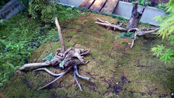 画像: 神奈川県川崎市　蒲池様の　　　使用例