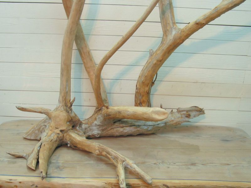 画像: 大型幹枝付き流木