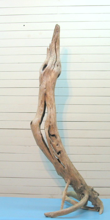 画像: 大型変形幹流木