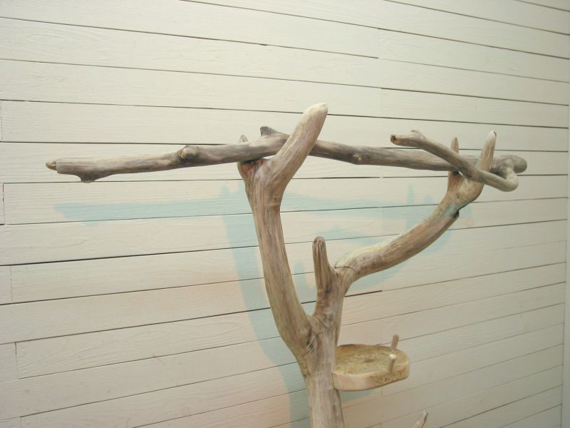 画像: 飾り棚付き多目的　　　　　　　流木ハンガースタンド　　　