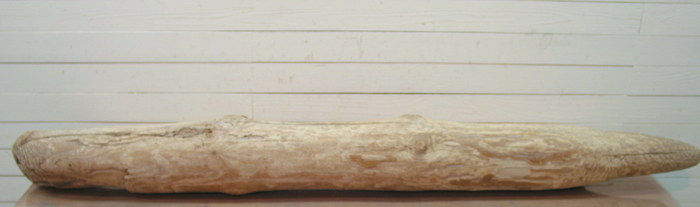画像: 大型変形幹丸太流木