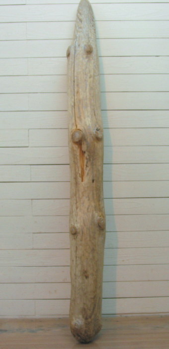 画像: 大型変形幹丸太流木