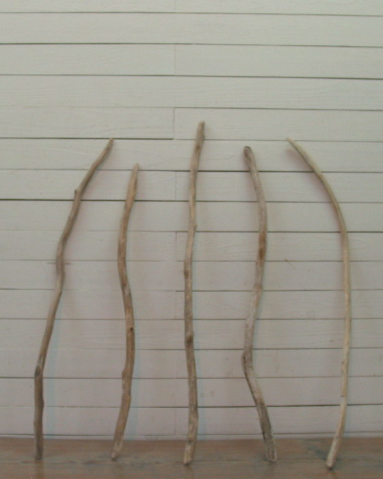 画像: 細枝流木の５本セット