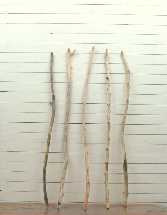 画像: 大枝細枝流木５本セット