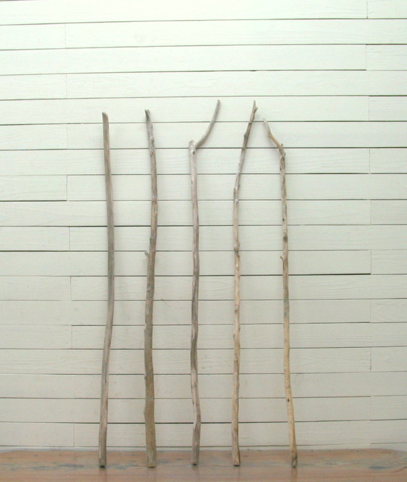 画像: 細枝流木の５本セット